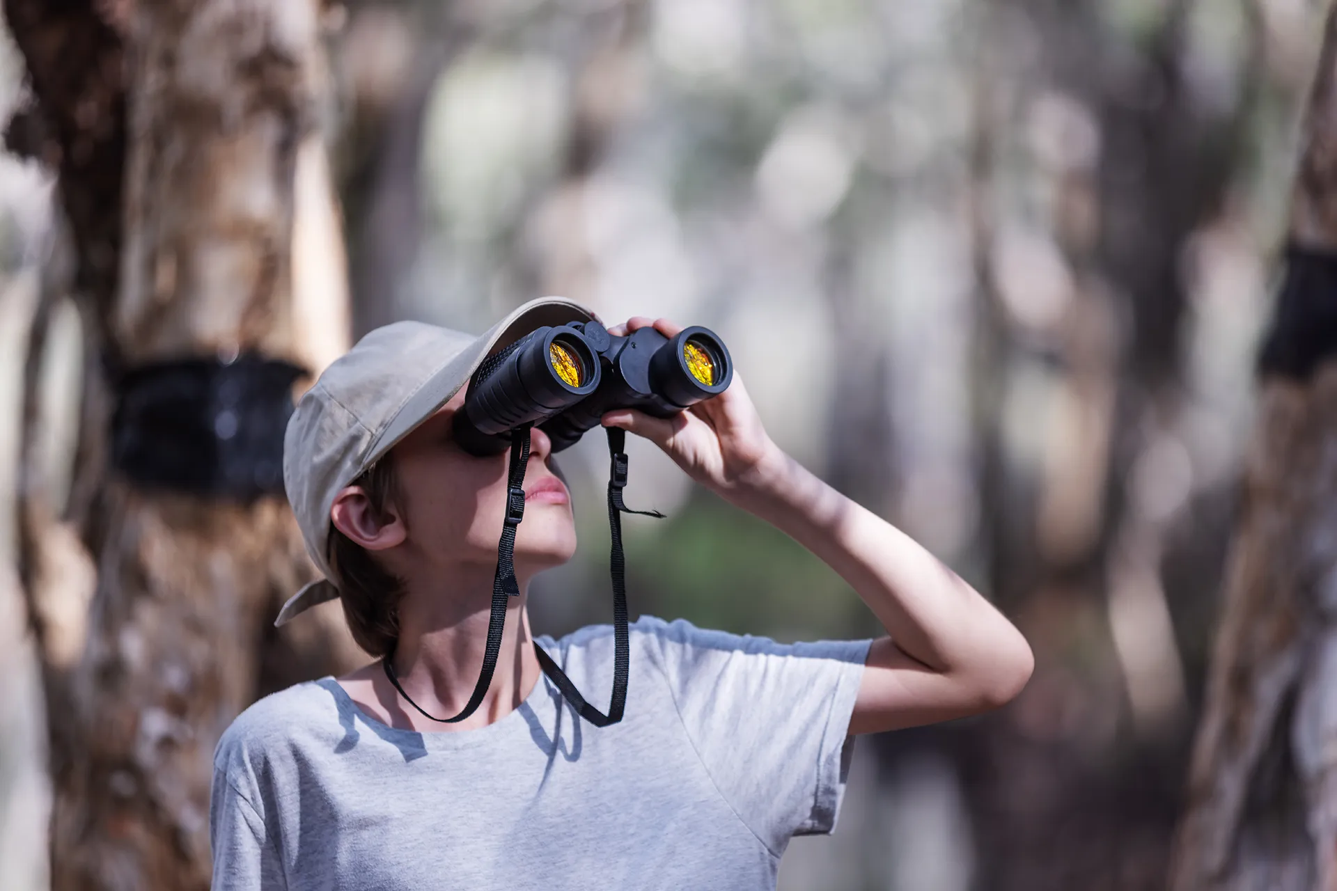 Ferngläser für Vogelbeobachtung 
