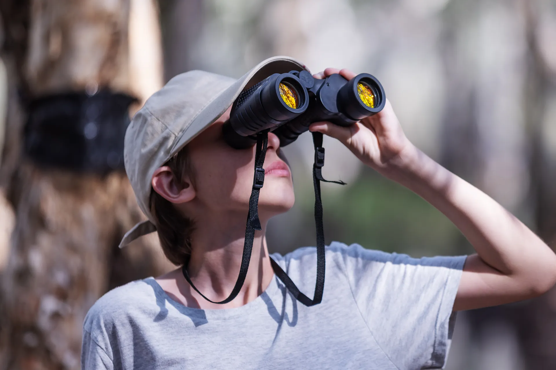 für Wärmebild- und Nachtsichtgeräte